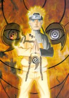 Naruto 16 (Small)